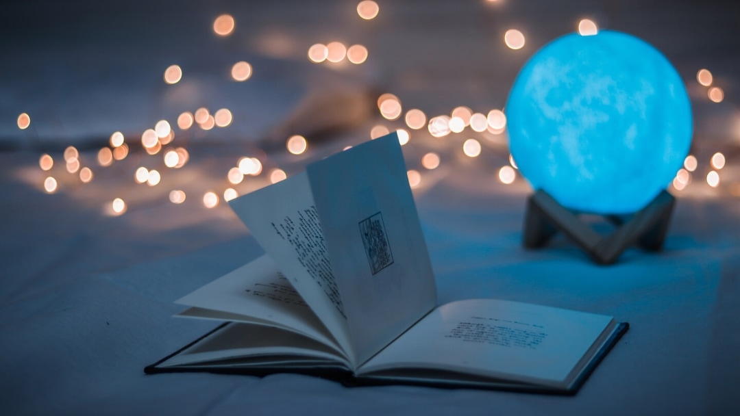 Top 13 software for writing a book in 2024 free and paid 
